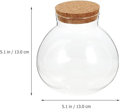 2Pcs Airtight Glass Terrarium Bottles 5.11 Inch Round Sealed Planters with Cork Lid for Succulent Plants Micro Landscape Home Decor