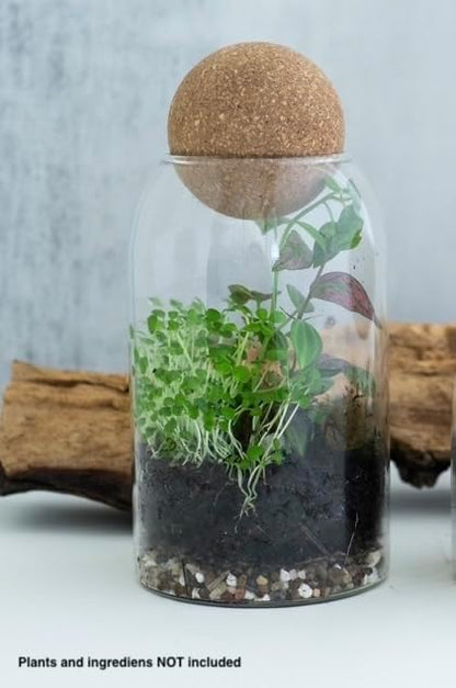 Glass Terrarium with Airtight Wood Lid (Ball Cork) | Closed Terrarium Planter | Clear Glass Bottle Jar Container | 800ml / 27oz | Moss Terrarium Jar | Indoor Ecosystem Decoration Gifts (Only Jar)