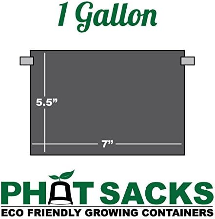 HTG Supply Phat Sacks 1-Gallon Indoor/Outdoor Black Fabric Grow Pot - 100-Pack