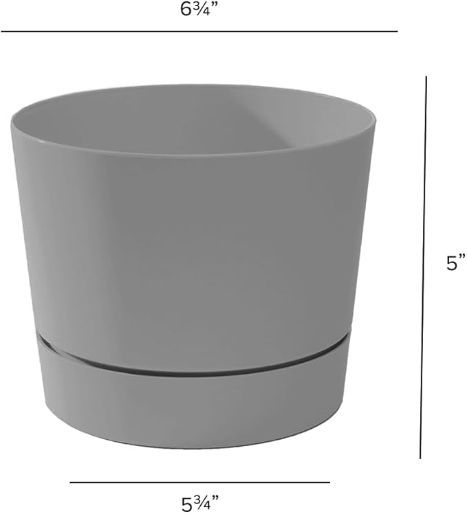 Root & Vessel Majestic Mid-Century Modern Low Profile Cylinder Pot, Matte Gray, 6.5"