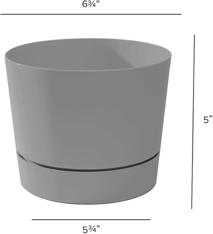 Root & Vessel Majestic Mid-Century Modern Low Profile Cylinder Pot, Matte Gray, 6.5"