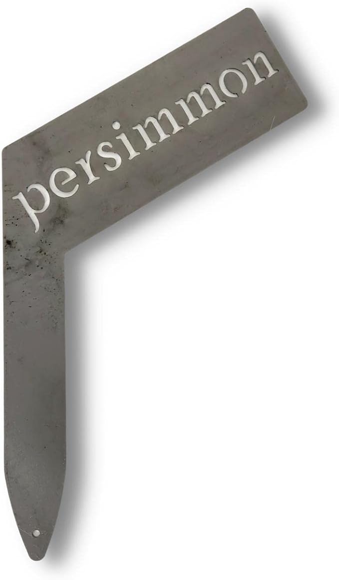 Planter Size Small Metal Garden Plant Vegetable Flower or Herb Markers 13.5 Inches Tall (persimmon, Raw, Unfinished Steel)