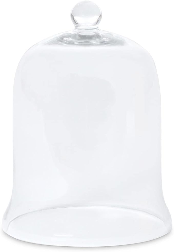 Glass Cloche Bell Jar - Plant Terrarium - Centerpiece Dome Display (12.5" x 9")