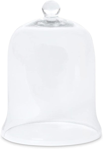 Glass Cloche Bell Jar - Plant Terrarium - Centerpiece Dome Display (12.5" x 9")