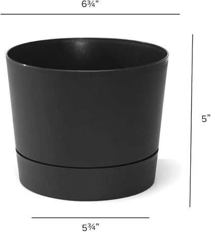 Root & Vessel Majestic Mid-Century Modern Low Profile Cylinder Pot, Matte Black, 6.5"