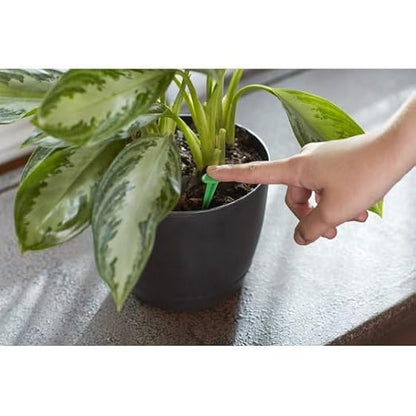 Miracles-Grows Indoor Plant Food Spikes, 48 Count, Fertilizer for Houseplants