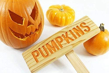 PUMPKINS Garden Sign, Halloween Garden Sign, Painted & Oil Sealed Cedar Wood: Hand Routed, Vegetable Plant Garden Marker, Personalized Sign