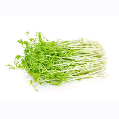 Nature Jim's Sprouts 3-Bean Seed Mix - Organic Green Peas, Lentils & Adzuki Beans for Planting - Non-GMO Microgreen Sprout Seeds, Fast Sprouting, High in Fiber, Protein, Nutrients & Vitamins - 16 Oz