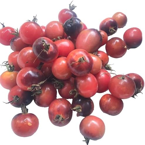 Organic Blueberry Cherry Tomato Seeds (Solanum lycopersicum) 150 Seeds (0.5 Grams) - Cotton Candy Heirloom Tomato Seeds by Smoke Camp Crafts