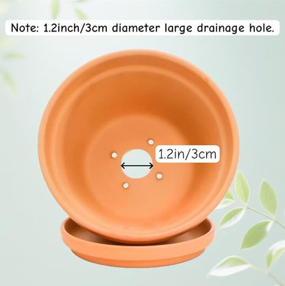 2 Pack 8 Inch Shallow Succulent Terracotta Pots with Drainage Hole and Saucer, Clay Plant Pots for Indoor and Outdoor Planter, Bowl Planter for Orchid, Cactus, Flowers