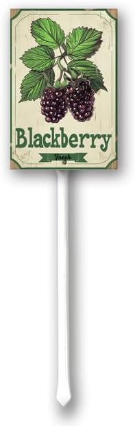 Uptell Vintage Aluminum BlackBerry Fruit Signs Yard Sign with Stake for Garden Fruit Garden Label Stakes Plant Markers for Outdoor Plants Waterproof 8x12 inch