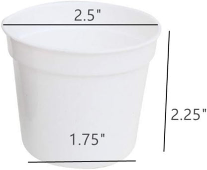 Round Succulents Plant Pots Drainage Hole, Set of 40 Mini Plant Pots 2.5" Wx2.25 H,Perfect for Plant Seeds,Seedling Nursery Transplanting Planter Container(White-40)
