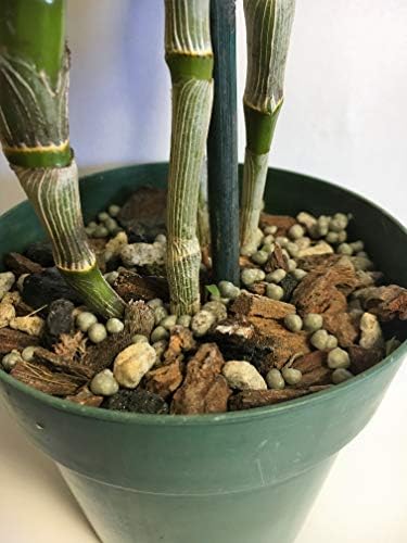 Potting Soil with Perlite, peat Moss, Coconut, Charcoal and Orchid bark for Cattleya Dendrobium Oncidium All Natural Orchid bark Potting Mix for Potting Soil Indoor Plants
