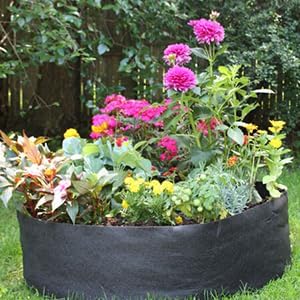 2-Pack 50 Gallon Large Non-Woven Grow Bags Reusable Thickened Durable Aeration Fabric Pot Black (50Gal_2Pcs)