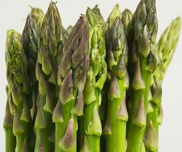 Asparagus Mary Washington Great Heirloom Vegetable Seeds by Seed Kingdom (1/4 Lb Seeds)