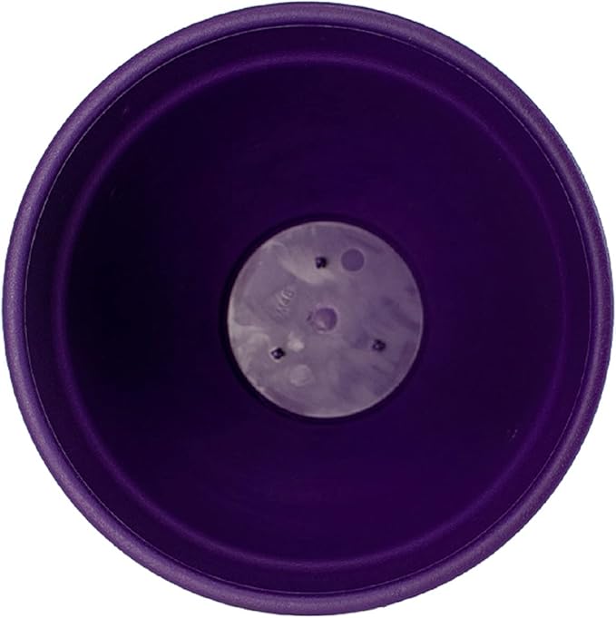 The HC Companies Rings Flower Planter - Self Watering Plant Pots for Herbs & More - Round Lightweight Outdoor & Indoor Planter (12" Purple, Pack of 2)