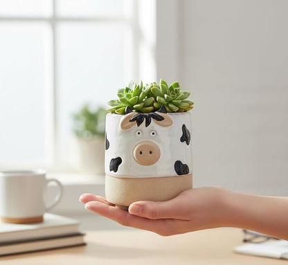 Abbott Collection Stoneware Cow on Legs Planter - Small (5" H, 3.5" Opening)