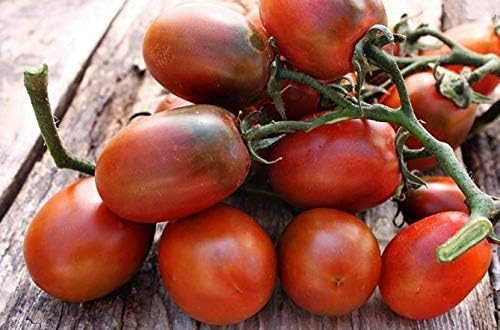 Seeds Vegetable Black De Barao Tomato - 40 Seeds