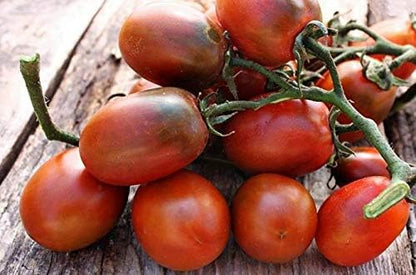 Seeds Vegetable Black De Barao Tomato - 40 Seeds