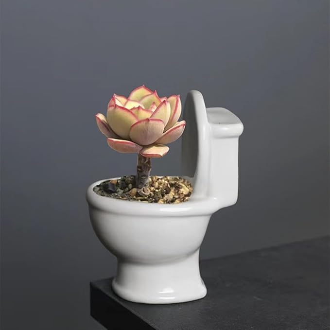 Cute Toilet Bowl Succulent Planter Pot with Drainage Tray, White Ceramic Cactus Flower Container, Small Funny Indoor Air Plants Holder