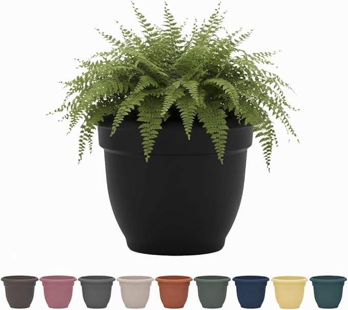Bloem Ariana 10" Black Round Self-Watering Resin Planter Pot - Rolled Rim Indoor and Outdoor Gardening Planter