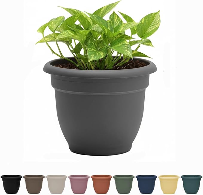 Bloem Ariana 8" Charcoal Round Self-Watering Resin Planter Pot - Rolled Rim Indoor and Outdoor Gardening Planter