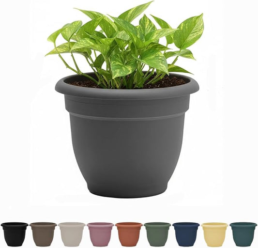 Bloem Ariana 6" Charcoal Round Self-Watering Resin Planter Pot - Rolled Rim Indoor and Outdoor Gardening Planter