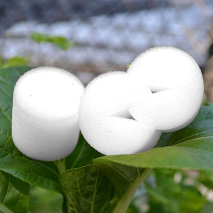 Hydroponic Sponge Planting Soilless Seedling Base Anti-dust Non-toxic Gardening Supplies 50 Pcs