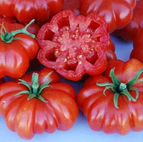 Rosso Sicilian Tomato Seeds