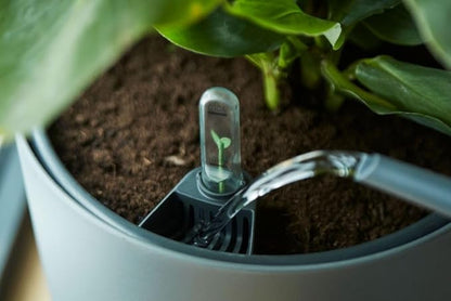 elho Self-Watering Insert 17 - Accessory for Indoor Plant Pots - Ø 17.0 x H 15.8 cm - Black/Living Black