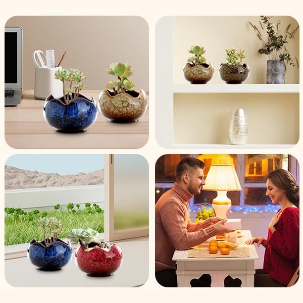 YYW Succulent Pots Small Flower Pots with Drainage Hole Ceramic Planters for Indoor Plants Stylish Plant Pots in Egg Broken Shell Design for Home Office Decor Shallow Plant Pots for Plant Lovers Gifts
