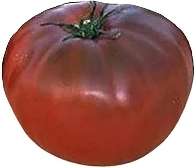 Black Brandywine Heirloom Tomato Seeds - Large Tomato - One of The Most Delicious Tomatoes for Home Growing,