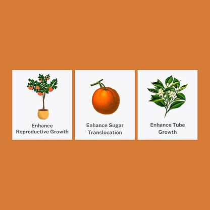 Liquid Citrus Essentials | (16 fl. oz.) | Increase Yield and Health of Citrus Trees | Liquid Fertilizer for Citrus Trees | Foliar Applied | EDTA Free | Amino Acid Complexed Nutrients