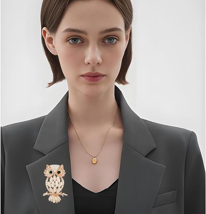 Rhinestone Owl Brooch Pin for Women Cute Big Cartoon Cat Eye Stone Owl Bird Brooch Unique Double Owl Brooch Pin Clothes Bag Hat Dress Jewelry