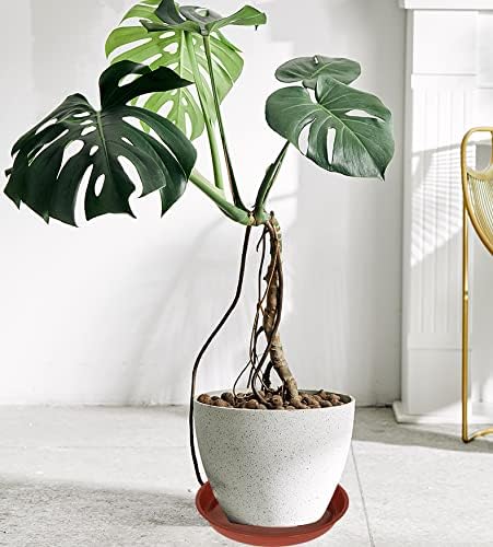 6 Pack of 20 inch Plant Saucer (18 Inch Base), Plant Tray 20 Inch Round, Plant Saucers for Indoors, Plant Trays for Pots, Flower Pot Saucers, Pot Saucers for Planter 16-21" (20", Terracotta)