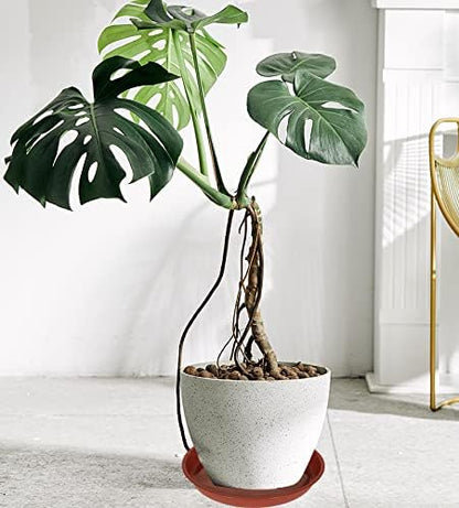 6 Pack of 25 inch Plant Saucer, Plant Tray 20 Inch Round, Plant Saucers for Indoors, Plant Trays for Pots, Flower Pot Saucers, Pot Saucers for Planter 19-26" (25", Terracotta)