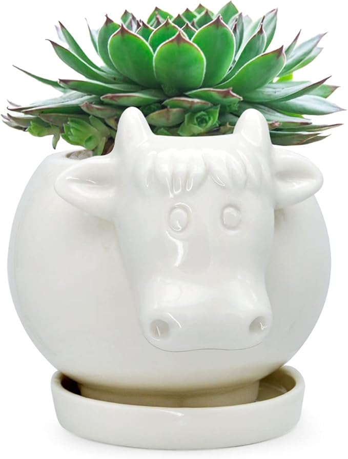 GeLive White Cow Planter, Cute Cartoon Plant Pot, Small Ceramic Succulent Pot, Fun Air Plant Holder, Pencil Holder Brush Organizer Animal Tabletop Decor Indoor Mini Cow Figurines Statue Funny Gift
