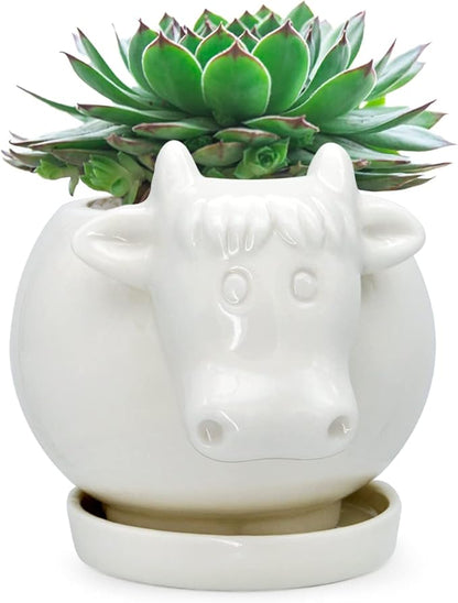 GeLive White Cow Planter, Cute Cartoon Plant Pot, Small Ceramic Succulent Pot, Fun Air Plant Holder, Pencil Holder Brush Organizer Animal Tabletop Decor Indoor Mini Cow Figurines Statue Funny Gift