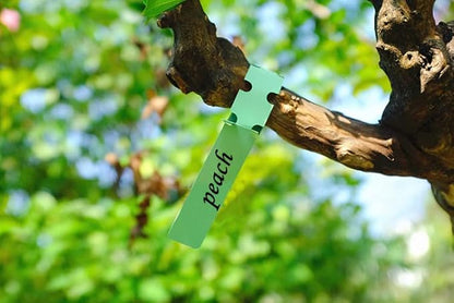 100Pcs Green Plant Tags Wrap Around Tree Tags Markers, Removable,Adjustable Garden Labels Plant Tags(8.27"x0.8", Green)