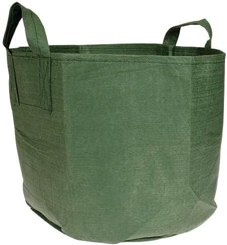 Root Pouch Non-Degradable Reusable Grow Bag with Handles (20 Gallon, Green)