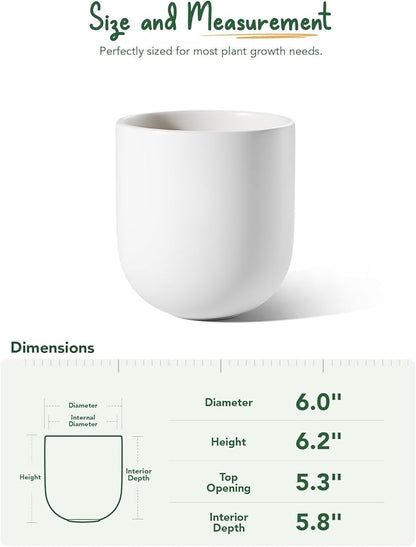 LE TAUCI 6 Inch Plant Pot, Ceramic Pot with Drainage Hole & Rubber Plug, Indoor Planter for Herbs & Small Houseplants, Cylinder Planter for Home Office, White
