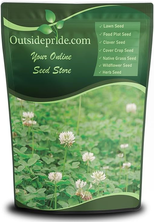 Outsidepride Perennial White Dutch Clover Seed - 1/4 lbs. Nitrocoated, Inoculated Clover Seeds for Lawn Alternative, Erosion Control, Food Plots, Ground Cover, & Pasture Mixtures in USDA Zones 3-10