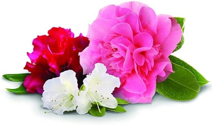 Jobe'S Plant Food Azalea , Camellias & Rhododenron Spikes 9-8-7 Spike 10 / Pack