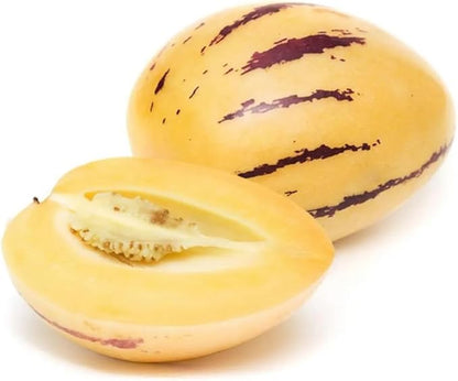 25pcs Pepino Melon Seeds Solanum Muricatum Fruit Seeds