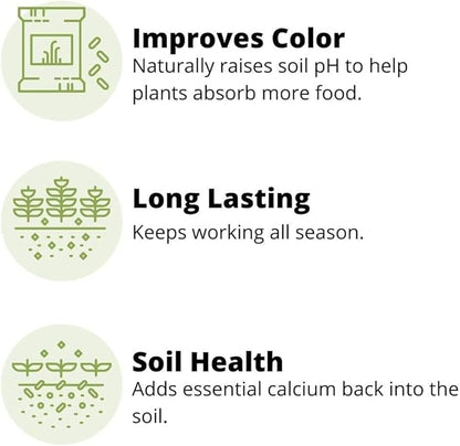 Earth Science Fast Acting Lime Granules—5lb— Instantly Raise pH of Soil & Reduce Nutrient Runoff for Improved Growth & Color - Long Lasting Lawn Care with Calcium