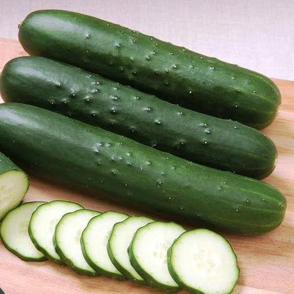 10+ Seeds Indoor Cucumber Zozula F1 Self-Pollinating - Vegetable Green