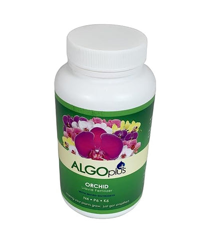 AlgoPlus Rose Liquid Fertilizer - Single