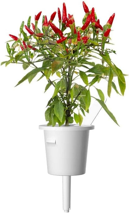 Click and Grow Smart Garden Piri Piri Chili Plant Pods, 3-Pack