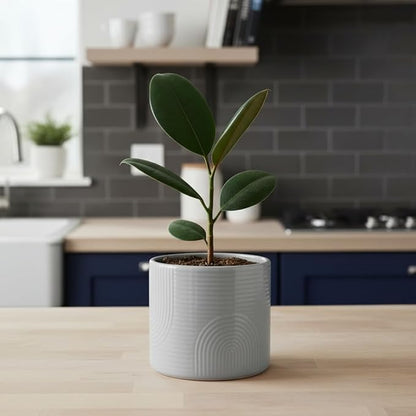 6 Inch Ceramic Plant Pot – Indoor & Outdoor Flower Planter for Succulents, Herbs & Small Plants – Thick-Walled Modern Design – Stone Gray
