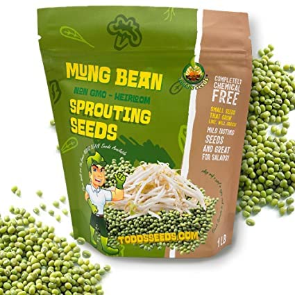 Todd's Seeds - Bundled Wheatgrass Seeds, 1Lb & Mung Bean Sprouting Seeds, 1Lb, Total of 2Lbs